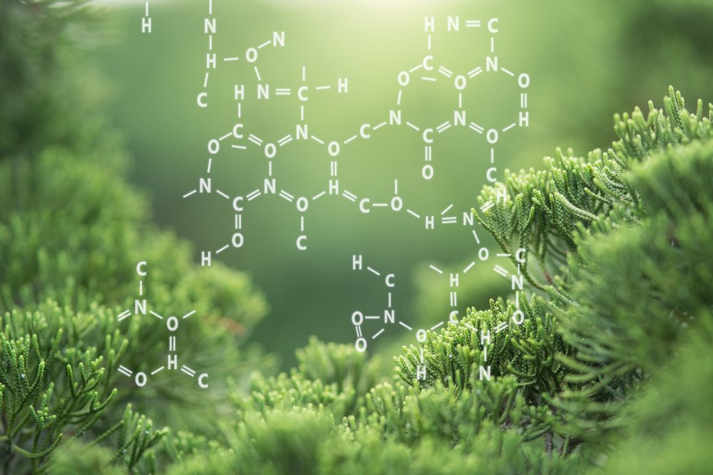 Química orgânica é um dos assuntos mais cobrados no Enem. (Fonte: Marchu Studio/Shutterstock/Reprodução)