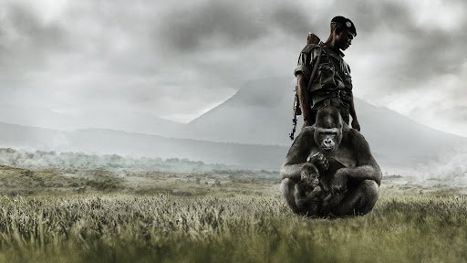 O parque nacional de Virunga ocupa quase 8 mil quilômetros quadrados na República Democrática do Congo. (Fonte: Netflix/Reprodução)