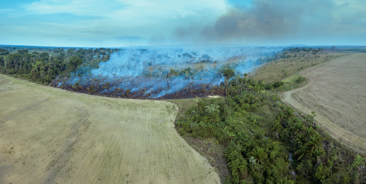 Apesar dos compromissos firmados em 2015, o Brasil bateu recordes de desmatamento e de queimadas entre 2019 e 2021. (Fonte: Shutterstock/Reprodução)