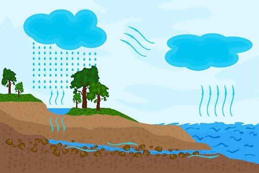 O ciclo da água permite compreender a dinâmica dessa substância na natureza. (Fonte: Shutterstock/Reprodução)