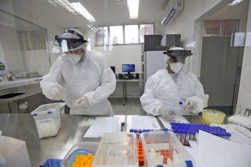 Diagnóstico de C. auris só é possível por meio de teste em laboratório. (Fonte: Secretaria Estadual de Saúde da Bahia/Reprodução)