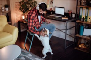 Homem trabalhando em casa e brincar com seu cão